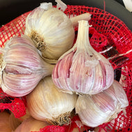 Territorial's Garlic Organic Metechi