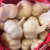 Territorial's Garlic Polish Softneck
