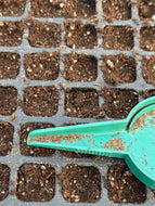 COMPLETE HERB GARDENING WEEKEND:  PROPAGATING HERBS 3/14/26 2:30 pm - 5:00 pm