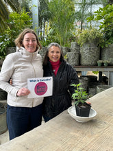 Load image into Gallery viewer, GROWING CANNABIS IN THE GARDEN  3/28/26 11 am - 1 pm
