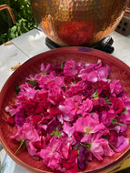 Wonderful and Healthful Uses for Hydrosols and Flower Waters 6/21/2026