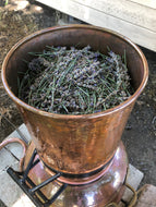 Herbal Distilling - Making Your Own Essential Oils and Flower Waters 6/20/26