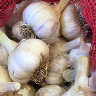 Territorial's Garlic Organic Music