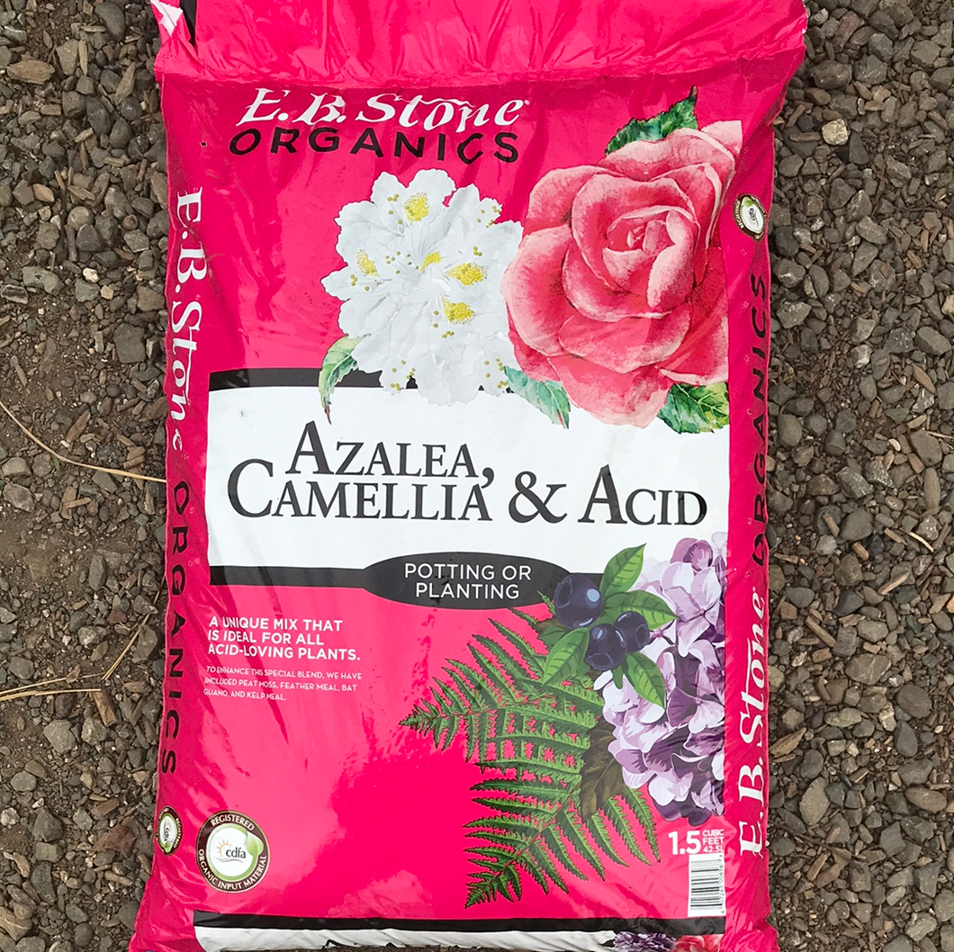EB Stone Azalea, Camellia & Acid, 1.5cf