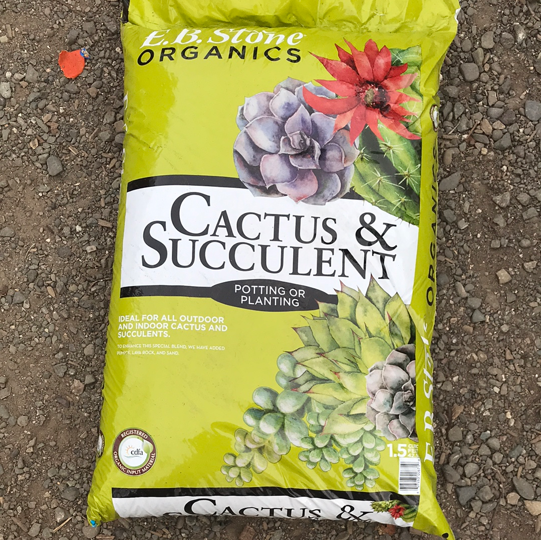EB Stone Cactus & Succulent – Morningsun Herb Farm